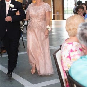 Adrianna Papell Beaded Blush Chiffon Formal Gown